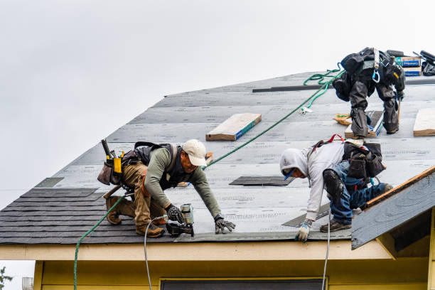 Professional Roofing technician working in Lawler, IA